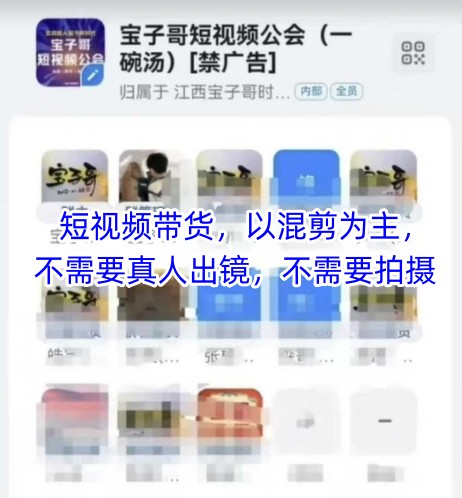 宝子哥头部团队短视频带货，以混剪为主，不需要真人出镜，不需要拍摄【更新11月】-微科网创