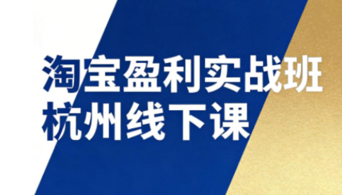 淘宝盈利实战班杭州线下课12月26-28日（音频+字幕），帮你掌握SOP流程+12门核心技术-微科网创