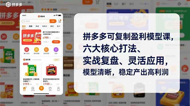 （16952期）拼多多可复制盈利模型课，六大核心打法、实战复盘、灵活应用，模型清晰，稳定产出高利润