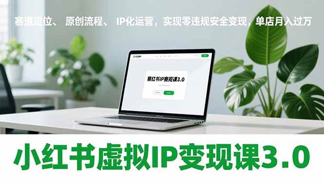 (17029期)小红书虚拟IP变现课3.0,赛道定位、原创流程、IP化运营,实现零违规安全变现,单店月入过万-微科网创