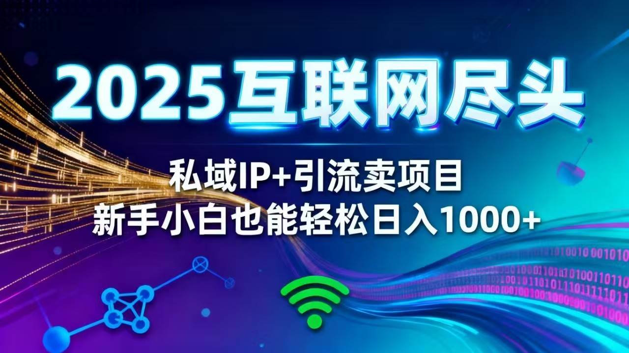 （16485期）2025网创尽头王炸项目！私域 IP + 精准引流，新手小白在家躺赚日入 1000+-微科网创