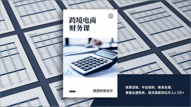 (17036期)跨境电商财务课,核算逻辑、平台规则、账务处理,掌握全盘账务,胜任高薪岗位月入1.5万+-微科网创