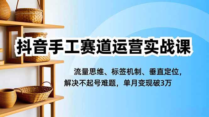 （16667期）抖音手工赛道运营实战课，流量思维、标签机制、垂直定位，解决不起号难题，单月变现破3万-微科网创