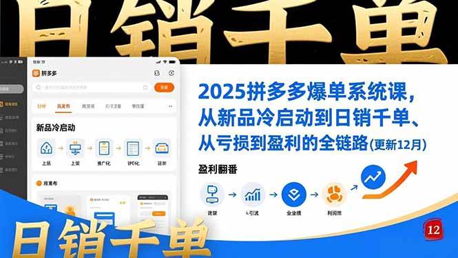 （16894期）2025拼多多爆单系统课，从新品冷启动到日销千单、从亏损到盈利的全链路（更新12月）-微科网创