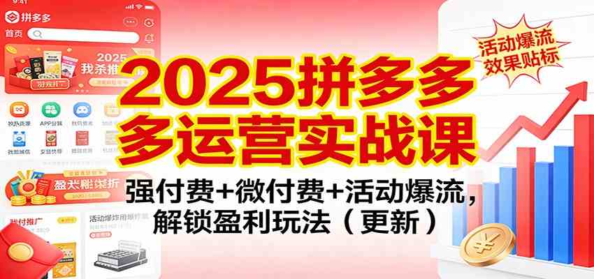 2025拼多多运营实战课：强付费+微付费+活动爆流，解锁盈利玩法（更新）-微科网创