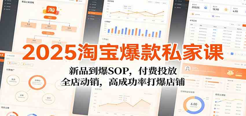 2025淘宝爆款私家课：新品到爆SOP，付费投放，全店动销，高成功率打爆店铺-微科网创