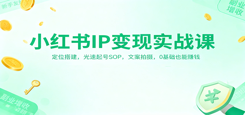 小红书IP变现实战课：定位搭建，光速起号SOP，文案拍摄，0基础也能赚钱-微科网创