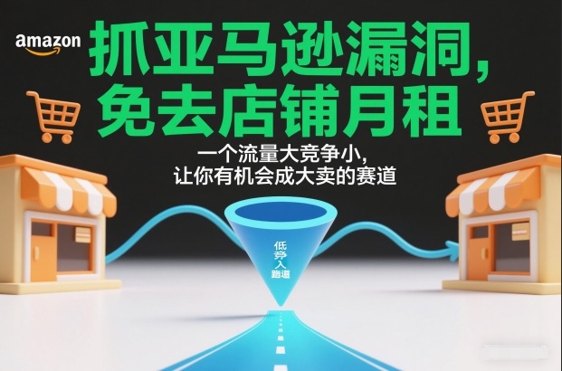 抓亚马逊漏洞，免去店铺月租，一个流量大竞争小，让你有机会成大卖的赛道-微科网创