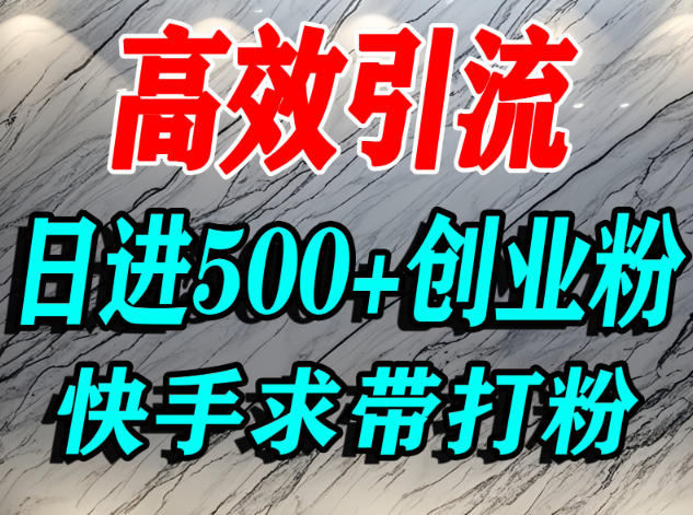 怎么打创业粉?快手求带视角精准引流创业粉,宝妈、学生群体日进500+精准流量-微科网创